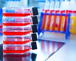 用于批放行检测程序的化验瓶